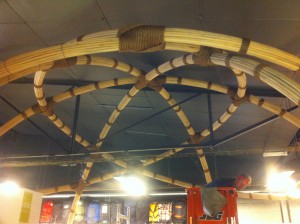 IMG_0353